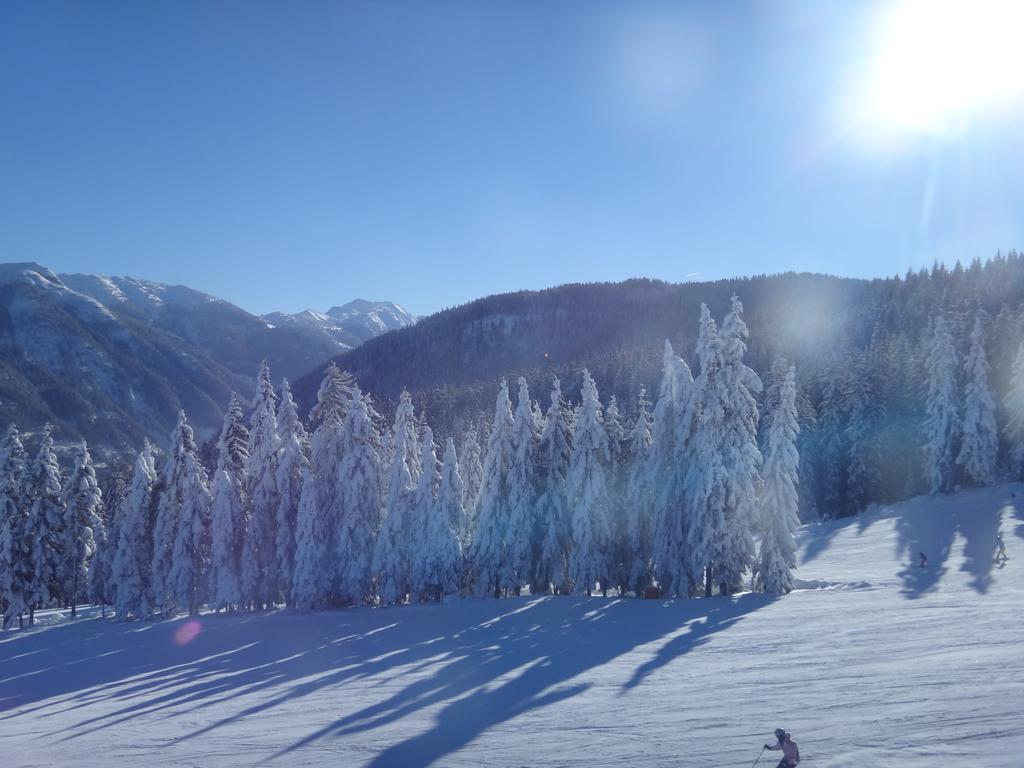 Ausserraingut Flachau Exterior photo